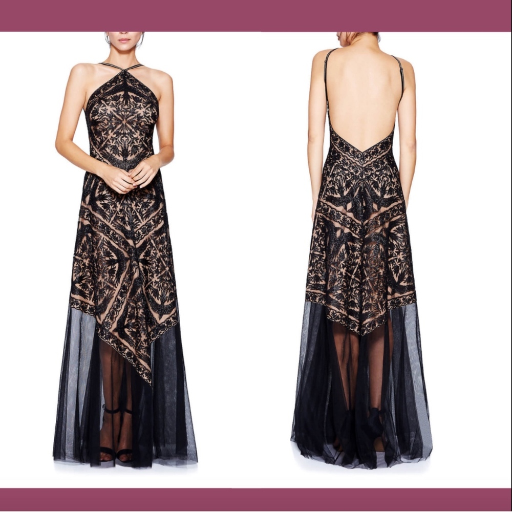 NEW Tadashi Shoji Enola Embroidered Tulle Gown